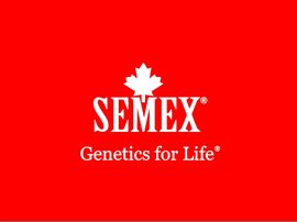 semex